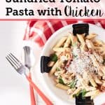 Mushroom and sun-dried tomato pasta with chicken, garnished with grated Parmesan cheese, is presented on a white plate atop a white table draped with a red and white chequered tablecloth.