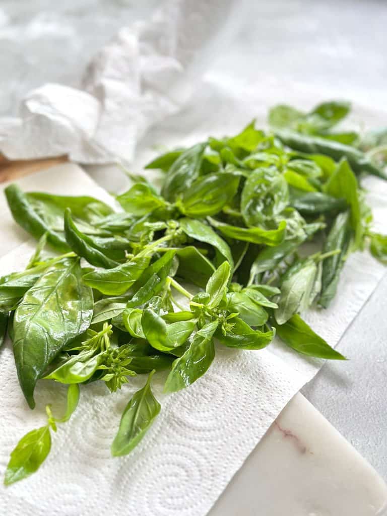 Fresh basil leaves spread on a paper towel to dry, ready to be used.