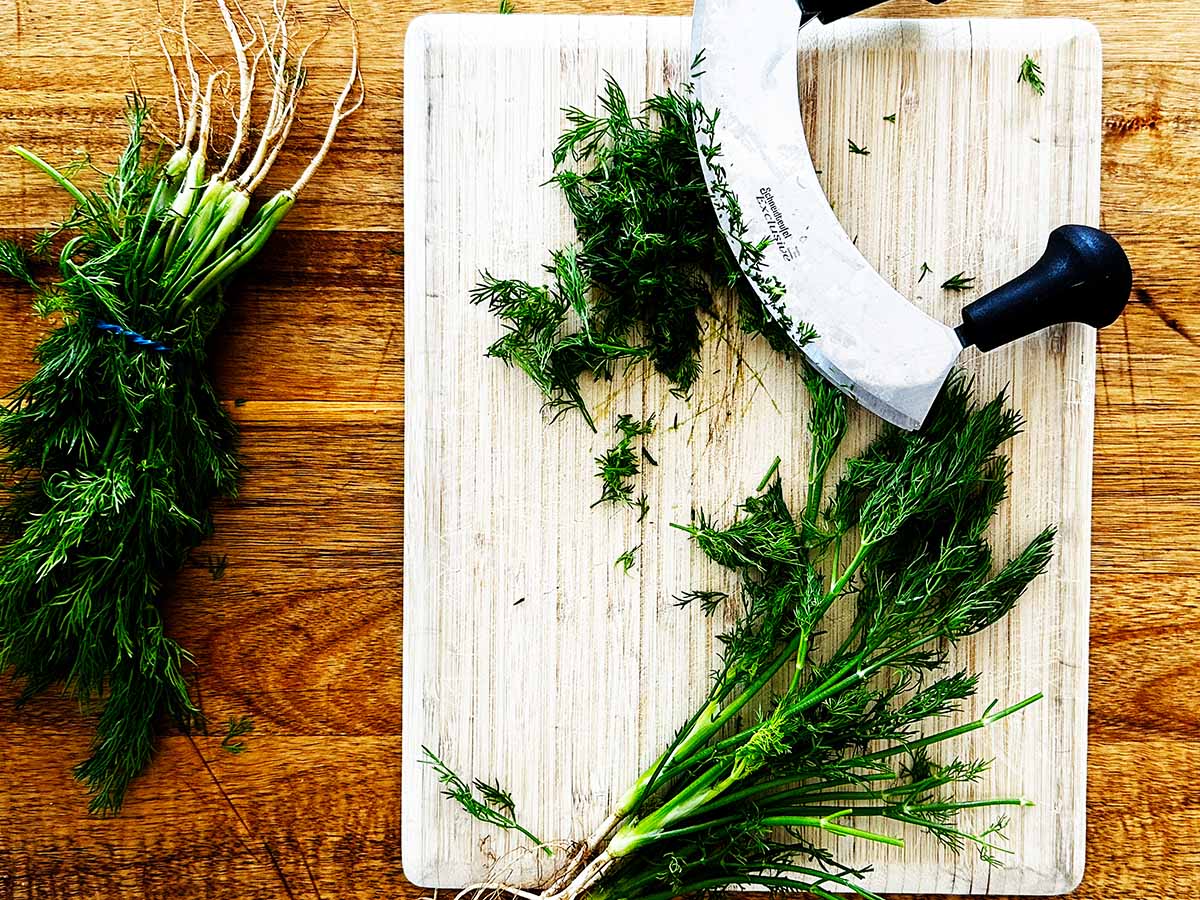Fresh dill on a wooden board, with some chopped, for Greek yoghurt dressing
